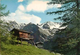 *CPM - Petits Chalets De Vacances En Montagne - Other & Unclassified