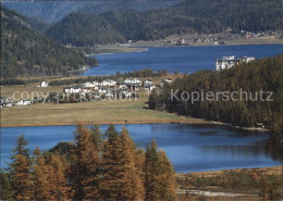 12502358 Sils Maria Graubuenden Panorama Sils/Segl Maria - Other & Unclassified