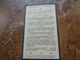 Doodsprentje/Bidprentje  ELISABETH DELEEBEKE   Schrieck 1860-1931  (Echtg Jozef WOUTERS) - Religione & Esoterismo