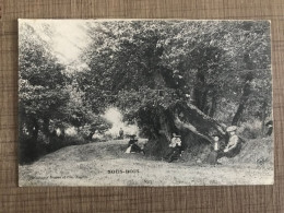 SOUS BOIS Heliotypie Dugas Et Cie Nantes - Bomen