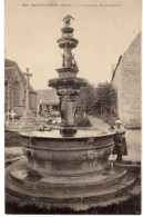 29 / SAINT-JEAN-DU-DOIGT - La Fontaine Monumentale - Saint-Jean-du-Doigt