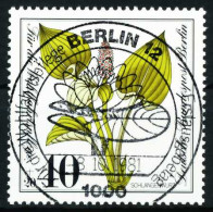 BERLIN 1981 Nr 650 Zentrisch Gestempelt X6212A6 - Usados