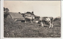 ALP BEI GRUYERES - Gruyères