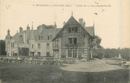 18* MENETREOL SUR SAULDRE Chateau La Faye           MA90,0013 - Other & Unclassified