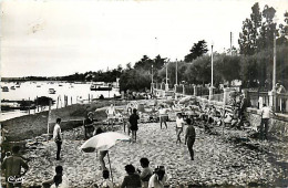 33* ANDERNOS  Plage  (CPSM Petit Format)          MA90,1054 - Andernos-les-Bains