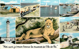 17* ILE DE RE  Multivues                  MA91-0203 - Ile De Ré