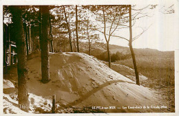 33* LE PYLA SUR MER    Dune          MA90,1271 - Autres & Non Classés