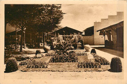 33* PONT DE LA MAYE  Pepinieres « commageres »          MA90,1243 - Autres & Non Classés