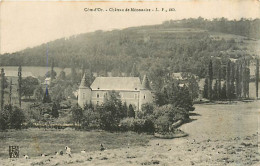 21* MENESSAIRE  Chateau                 MA91-0607 - Autres & Non Classés