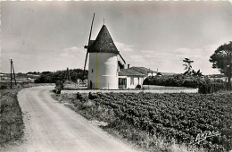 17* ILE D OLERON Moulin De La Bree  CPSM (petit Format)               MA91-1451 - Ile D'Oléron