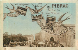 31* PIBRAC  Souvenir     MA92,0771 - Pibrac