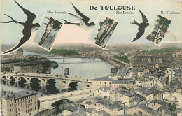 31* TOULOUSE     Souvenir     MA92,0748 - Toulouse