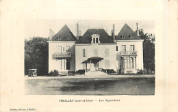 41* THEILLAY  Les Ygonnieres                 MA93,0004 - Other & Unclassified
