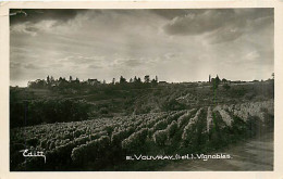 37* VOUVRAY Vignobles    MA92,1209 - Sonstige & Ohne Zuordnung