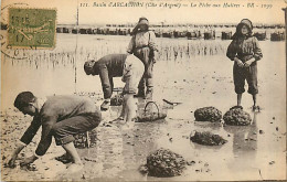 33* ARCACHON  Peche Aux Huitres    MA92,0888 - Arcachon