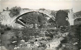 48* LANGOGNE Pont   CPSM (petit Format)                MA93,1255 - Langogne