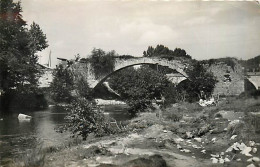 48* LANGOGNE  Vieux Pont  CPSM (petit Format)                 MA93,1247 - Langogne