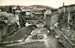 48* LANGOGNE  Pont Neuf   CPSM (petit Format)                 MA93,1245 - Langogne