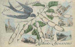 02* SOISSONS  Haricots                  MA94,0074 - Soissons