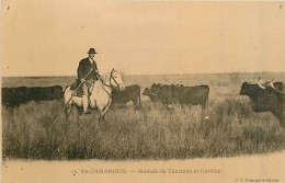 13* CAMARGUE  Manade  Gardian                MA94,1031 - Autres & Non Classés