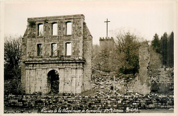 07* BONNEFOY Ruines Chartreuse                  MA94,0613 - Autres & Non Classés