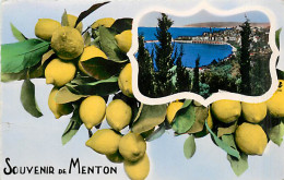 06* MENTON  Souvenir  CPSM(petit Format)                MA94,0576 - Menton