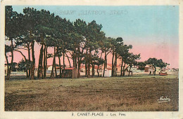 66* CANET PLAGE  Les Pins                  MA95,0599 - Canet Plage