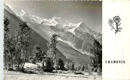 74* CHAMONIX          MA96,0113 - Chamonix-Mont-Blanc