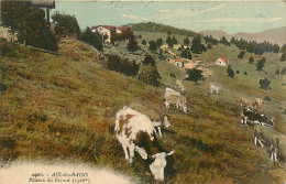 73* AIX LES BAINS      Plateau Du Revard  Vaches               MA95,1318 - Aix Les Bains