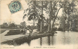 78* LE VESINET  Lac        MA96,0826 - Le Vésinet