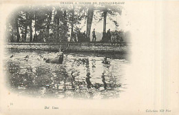 77* FONTAINEBLEAU Chasse A Courre  Bat L Eau           MA96,0746 - Fontainebleau