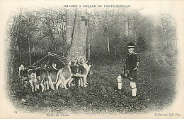 77* FONTAINEBLEAU Chasse A Courre  Relai De Chiens     MA96,0744 - Fontainebleau