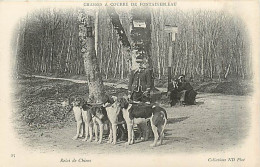 77* FONTAINEBLEAU Chasse A Courre  Relai De Chiens      MA96,0738 - Fontainebleau