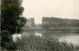 80* AILLY SUR SOMME         Etangs             MA97,0094 - Ailly Le Haut Clocher