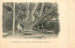 78* VILLENNES Le Sophora      MA96,1119 - Villennes-sur-Seine