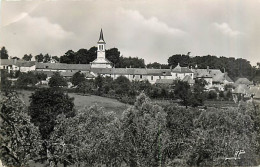 78* LA QUEUE LES YVELINES  CPSM (petit Format)        MA96,1053 - Andere & Zonder Classificatie