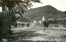 88* LE SAILCY  St Jean Du Mont  (CPSM Petit Format)        MA97,1021 - Autres & Non Classés