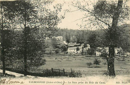 95* VALMONDOIS La Naze Prise Du Bois Du Cocu           MA98,1171 - Autres & Non Classés