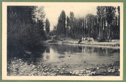 CPA - DROME - SAINT DONAT SUR L'HERBASSE - PAYSAGE DE L'HERBASSE PRES DE DOUCE PLAGE - Animation Troupeau De Vaches - Altri & Non Classificati