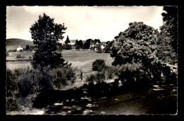 19 - SARRAN - VUE DE LA ROUTE D'EGLETONS - Autres & Non Classés