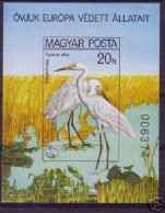Ungarn Silberreiher 100 X Block 146 B Postfrisch Europ. Naturschutzjahr 1980 - Blocks & Sheetlets