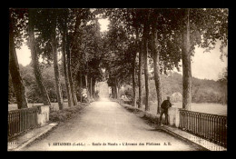 37 - ARTANNES - ROUTE DE MONTS - AVENUE DES PLATANES - Autres & Non Classés