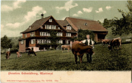 Wattwil - Pension Schmidberg - Wattwil