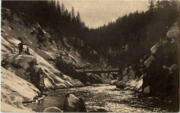 Zernez - Otterschlucht - Zernez