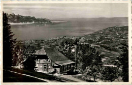 Restaurant Des Pleiades Sur Vevey - Vevey