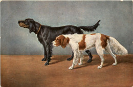 Hunde - Dogs - Honden