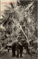 Ceylon - Elephant Passing Through Native Village - Sri Lanka (Ceylon)