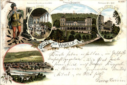 Gruss Aus Hameln - Litho 1895 - Hameln (Pyrmont)