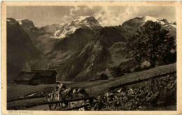 Braunwald - Andere & Zonder Classificatie