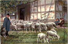 Schafe - Schäfer - Sonstige & Ohne Zuordnung